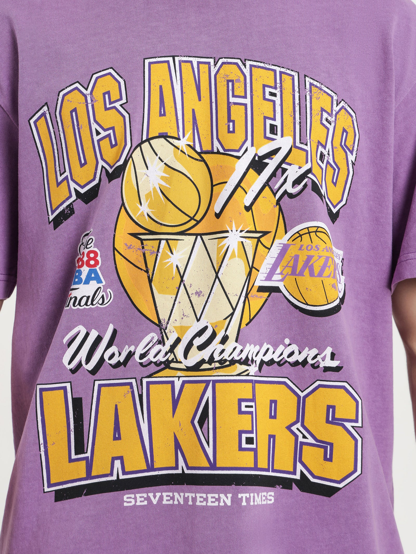 LA Lakers Vintage Championship T-Shirt in Faded Purple - Glue Store