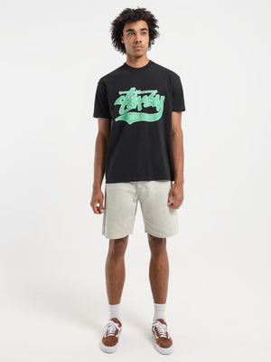 Washed Canvas Big Ol Shorts in Bone - Stussy